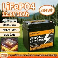 ราคา 10 Year Warranty Lifepo4 Battery 12V 30Ah with Built-In Bms, Can Be Connected in Series up to 48V 120Ah for Solar/Home Emergency Lighting (1733837585317988087)