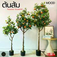 ราคา ต้นส้มจี๊ด ต้นไม้ประดิษฐ์ ต้นไม้มงคล ต้นไม้แต่งบ้าน (พร้อมส่งจากไทย) plant- OG (1733314729594685322)