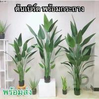 ราคา ต้นเบิร์ด แต่งบ้าน (พร้อมกระถางดำ) ต้นไม้ปลอมแต่งบ้าน สีสดเหมือนจริง ต้นไม้แต่งสวน( พร้อมส่ง) plant L-(JLR) ขาย ร้อน COD (1733078371915498852)