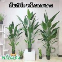 ราคา ต้นเบิร์ด แต่งบ้าน (พร้อมกระถางดำ) ต้นไม้ปลอมแต่งบ้าน สีสดเหมือนจริง ต้นไม้แต่งสวน( พร้อมส่ง) plant L-(JLR) ขายดี ขาย ร้อน (1733077841596024572)