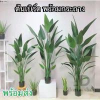 ราคา ต้นเบิร์ด แต่งบ้าน (พร้อมกระถางดำ) ต้นไม้ปลอมแต่งบ้าน สีสดเหมือนจริง ต้นไม้แต่งสวน( พร้อมส่ง) plant L-(JLR) COD ขาย ร้อน (1733077708386239935)