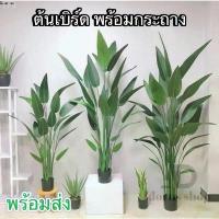ราคา ต้นเบิร์ด แต่งบ้าน (พร้อมกระถางดำ) ต้นไม้ปลอมแต่งบ้าน สีสดเหมือนจริง ต้นไม้แต่งสวน( พร้อมส่ง) plant L-(JLR) ขายดี คลังสินค้า (1733077387920573932)