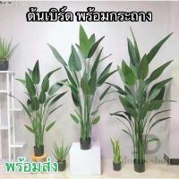 ราคา ต้นเบิร์ด แต่งบ้าน (พร้อมกระถางดำ) ต้นไม้ปลอมแต่งบ้าน สีสดเหมือนจริง ต้นไม้แต่งสวน( พร้อมส่ง) plant L-(JLR) แนะนำ ขายดี (1733077909748352651)