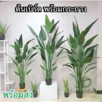 ราคา ต้นเบิร์ด แต่งบ้าน (พร้อมกระถางดำ) ต้นไม้ปลอมแต่งบ้าน สีสดเหมือนจริง ต้นไม้แต่งสวน( พร้อมส่ง) plant L-(JLR) แนะนำ สินค้าขายดี (1733077584752904009)
