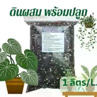 ราคา Zz Plant Mixed Soil, Ready-Made Mixed Soil, Mixed with Anti-Fungal and Root Rot Protection Agents. Suitable for Sansevieria, Zamifolia, and Zamioculcas Zamifolia. (1733817744366536324)