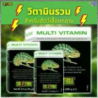 ราคา ส่งด่วน! Exo Terra Multi Vitamin สำหรับสัตว์เลื้อยคลาน ตุ๊กแกหางอ้วน ตุ๊กแกเสือดาว กิ้งก่า ขายดี (1733692665888015940)
