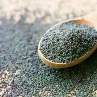 ราคา อาหารว่างประจำวัน Grade Aเม็ดป๊อปปี้ Poppy seed คัดพิเศษ ชนิดรับประทาน ทำเบเกอรี่100 grams Poppy Seeds อาหารทดแทน (1732959669644068232)