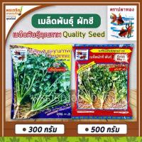 ราคา เมล็ดพันธุ์ผักชี ผักชีพูนผล ผักชีบิ๊กเอ ผักชีสามเอ (Quality Seed) เมล็ดผักชีถุงใหญ่ เมล็ดผักชีปลาวาฬ เมล็ดผักชีปลาทอง ขายดี (1733535116618663206)