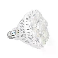 ราคา หลอดไฟ LED หลอดไฟปลูกต้นไม้ SANSI LED Grow light 36 Watts E27 (1732792609613317805)