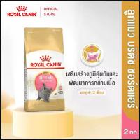 ราคา Royal Canin Kitten British Shorthair 2kg อาหารเม็ดลูกแมวพันธุ์บริติช ชอร์ทแฮร์ อายุ4-12เดือน (Dry Cat Food, โรยัล คานิน) คําแนะนําการขายที่ร้อนแรงในเดือนนี้ (1734309322180363992)