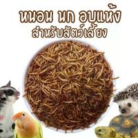 ราคา หนอนอบแห้ง หนอนนก dried mealworm อบแห้ง เม่นแคระ ปลา อาหารชูก้า อาหารแกสบี้ แมลงอบแห้งชู แมลงอบแห้งชูก้า ขาย (1732852656062104896)