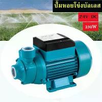 ราคา ปั้มหอยโข่งบัลเลส ปั๊มหอยโข่ง ชุดปั๊มน้ำ โซล่าเซลส์ โซล่าเซลล์ รุ่น QB-60 230W 24VDC Solar Water Pump (1733657651474957429)