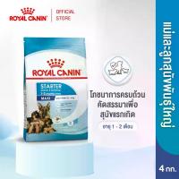 ราคา Royal Canin Maxi Starter Mother&Baby Dog4kg อาหารเม็ดแม่สุนัขและลูกสุนัขหย่านม พันธุ์ใหญ่ อายุ 1-2 เดือน (1734207852406867256)