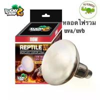 ราคา Lucky herp หลอดไฟ รวม UVA UVB ในหลอดเดียวกัน 80W (1732961360821061532)