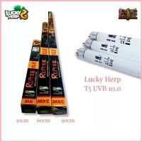 ราคา Lucky Herp หลอดไฟ T5 UVB 10.0 หลอดไฟ T5 ยูวีบี 10.0 สำหรับสัตว์เลื้อยคลาน ( 30cm / 60cm ) สปอตสินค้า (1732790561234257009)
