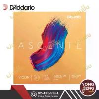 ราคา [COD] D'Addario สายไวโอลิน รุ่น Ascente A310 4/4M (Yong Seng Music) (1733098447165752447)