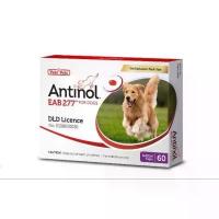 ราคา Antinol for Dog 60 Cap (Joint Care Supplement for Dogs, 1 Box Contains 60 Tablets) (1734298823000229690)