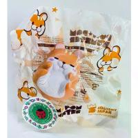 ราคา ✥SALE สกุชชี่ปอมปอมแฮมสเตอร์ของไอบลูม PoM PoM Hamster - I- Bloom โละสต็อค❆ (1734113711128610022)