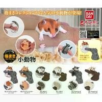 ราคา (ตัวลับพร้อมส่ง) กาชาปองแฮมเตอร์ เม่นแคระ ชูการ์ไกรเดอร์ Gashapon Bandai Ikimono Encyclopedia Hamster Hedgehog Sugar V.2 คําแนะนําการขายที่ร้อนแรงในเดือนนี้ (1732678999337830225)
