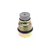 ราคา Suitable for Volvo Bosch Common Rail Pressure Relief Valve Common Rail Accessories Pressure Limiting Valve Pressure Limiting Valve 1110010015 (1733598785319961749)