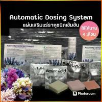 ราคา ส่งฟรี. Automatic Elements Concentrate Ca Mg K Amino Acid IRON Potassium Iodide Fluoride (1734288997574149287)