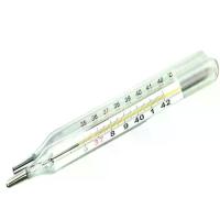 ราคา COD ปรอทแก้ววัดไข้ Mercury Glass Thermometer Size ไซส์ L Clinical Thermometer ปรอทแก้วสำหรับวัดไข้ องศา C F (1734242251963663789)