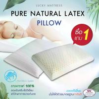 ราคา พร้อมส่งจากไทย หมอนยางพารา ซื้อ 1 แถม 1 ใบ Pure Natural Latex Pillow (1733996262437848777)