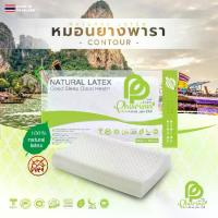 ราคา หมอนยางพาราCONTOUR LATEX PILLOW (1734344089678874365)