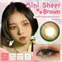 ราคา คอนแทคเลนส์ Mini Sheer Brown สีน้ําตาล สายตาปกตี สายตาสั้น 0.00 ถึง -8.00 (1729601612133861939)