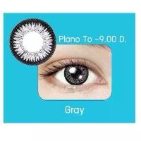 ราคา กล่องฟ้า GRAY Dia 14.0 สีเทา คอนแทคเลนส์ Maxim Contact lens คอนแทคเลนส์สี รายเดือน ตาโต สายตาสั้น (1731779486439999922)