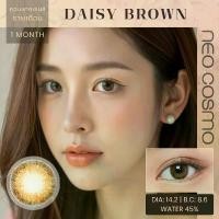 ราคา Daisy Brown คอนแทคเลนส์ Neo Cosmo เดซี่ สีน้ำตาล โตเล็กน้อย ลายนัวๆสวยสไตล์ญี่ปุ่น รายเดือน (1729512926653089986)