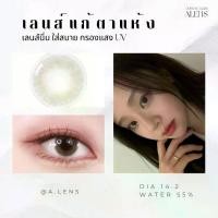 ราคา Sirine gray เลนส์กรองแสง ขนาดมินิ 14.2 รายเดือน คอนแทคเลนส์ (1729582904123820872)