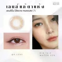 ราคา Sirine cocao เลนส์กรองแสงสีฟ้า กรองแสงยูวี คอนแทคเลนส์ (1729614940844428104)