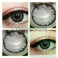 ราคา Icy, Soul ,ICE Eos Gray คอนแทคเลนส์ (สายตา -50 ถึง -1000) Contactlens Dia 14.5 (1729577383081380236)
