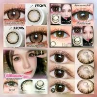 ราคา Shimmer,Icy ,Chimmer brown คอนแทคเลนส์ ตาโต (สายตา 00 ถึง -1000) (1729576205850610060)