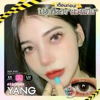 ราคา Yang brown คอนแทคเลนส์ ยี่ห้อ wink สายตาปกติ ตาหวาน angie gray lens (1730408272250767756)