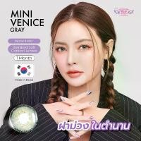 ราคา Dreamcolor1 คอนแทคเลนส์ รุ่น Venice Gray (ชนิดรายเดือน) (1729613452076026671)