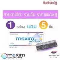 ราคา Maxim soft 1 day plus Toric คอนแทคเลนส์ใสรายวัน สายตาเอียง คอนแทคเลนส์ รายวัน (1730753056192629035)