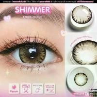 ราคา Icy, Shimmer,Chimmer brown คอนแทคเลนส์ ตาโตมาก ประกายหิมะใหญ่สุด สายตา -50 ถึง -1000 Contactlens (1729588965965728140)
