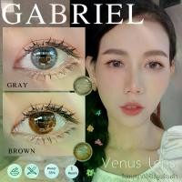 ราคา คอนแทคเลนส์ GABRIEL ยี่ห้อ BEAUTYLENS ( สายตา 50 - 1000 ) (1730815157605599597)