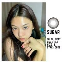 ราคา คอนแทคเลนส์✨ขนาดบิ๊กอาย ✨Gray✨Sugar (Montra) (1729782800419686925)
