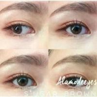 ราคา คอนแทคเลนส์ ✨ขนาดมินิ ✨Brown✨Mini Sugar (Kitty kawaii) Bigeyebybellies (1729800375384640013)