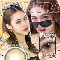 ราคา คอนแทคเลนส์(บิ๊กอาย) Pony Brown / Gray (Montra) ลายฮิต ขายดีมาก กรองแสงกันยูวี (1730761668679993784)