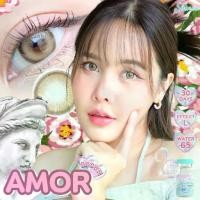 ราคา คอนแทคเลนส์ ขนาดบิ๊กอาย ✨Amor (Shinee) (1730379582892181522)