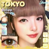 ราคา คอนแทคเลนส์ ขนาดบิ๊กอาย สี : Brown/Gray ✨Tokyo (Shinee) (1730296790847817746)