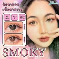 ราคา คอนแทคเลนส์ ขนาดบิ๊กอาย สี Black รุ่น Smoky (Shinee) (1729765293355993427)