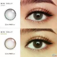 ราคา คอนแทคเลนส์(มินิ) Mini Dolly Chesnut / Gray (Wink) ลายฮิต ขายดีมาก กรองแสงกันยูวี (1730761681357867448)