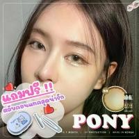 ราคา คอนแทคเลนส์ Wink ลาย Pony ปังปุริเย่ ไม่มีค่าสายตา #สีน้ำตาล #แถมตลับ (1733991013655021046)