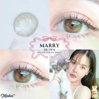 ราคา คอนแทคเลนส์ ✨ขนาดกลาง สี : Brown / Gray / Almond ✨Marry (Montra) (1730398744986159629)