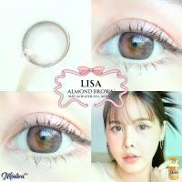 ราคา คอนแทคเลนส์ ✨ขนาดกลาง สี : Brown / Gray / Almond ✨Lisa (Montra) (1730398743700277773)